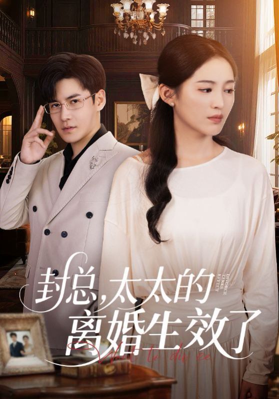 封总太太的离婚生效了
