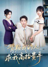 背叛我的人，求我高抬贵手