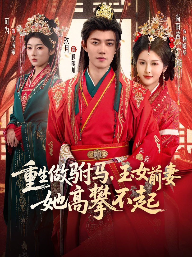 重生做驸马，玉女前妻她高攀不起
