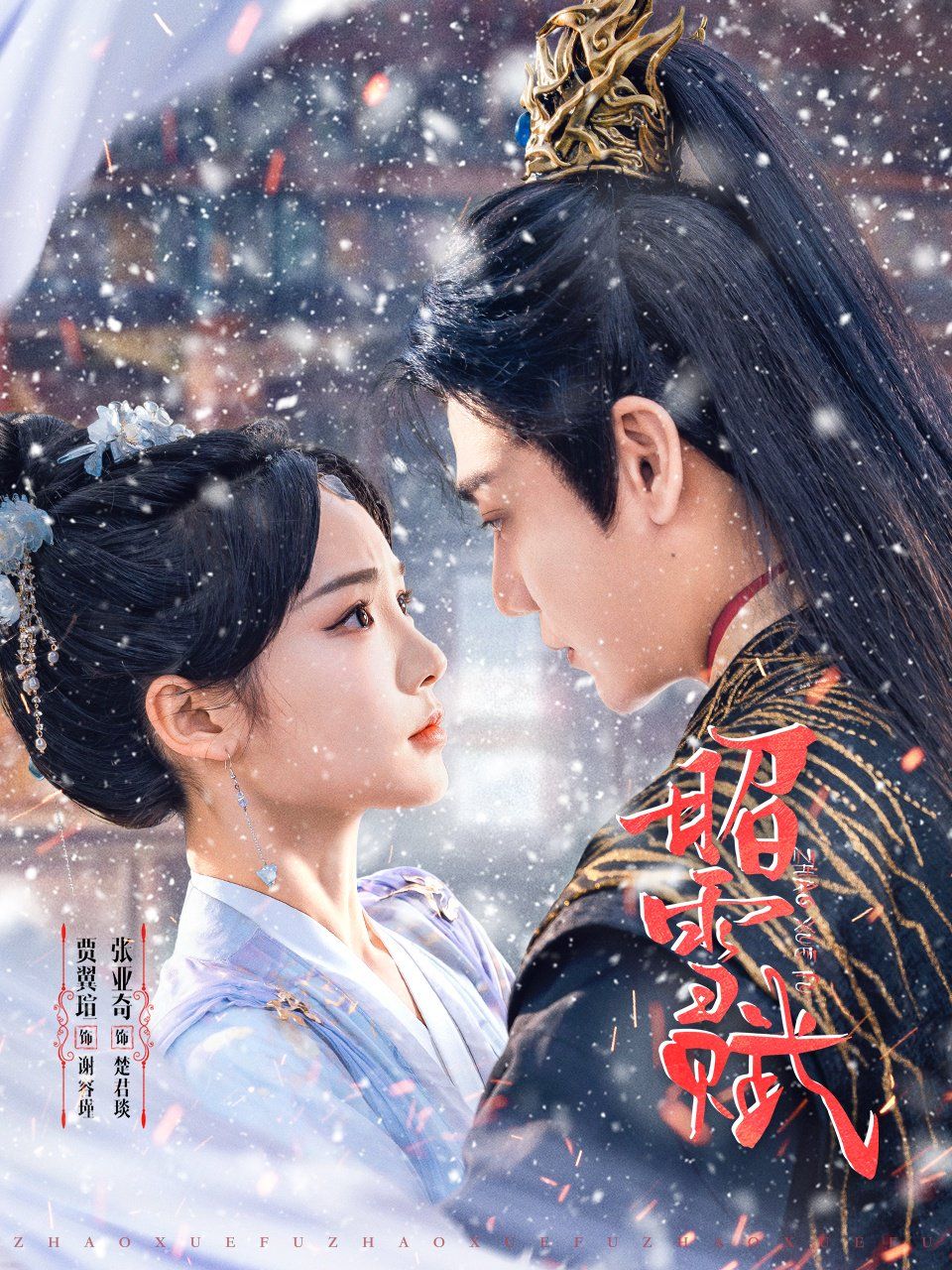 昭雪赋