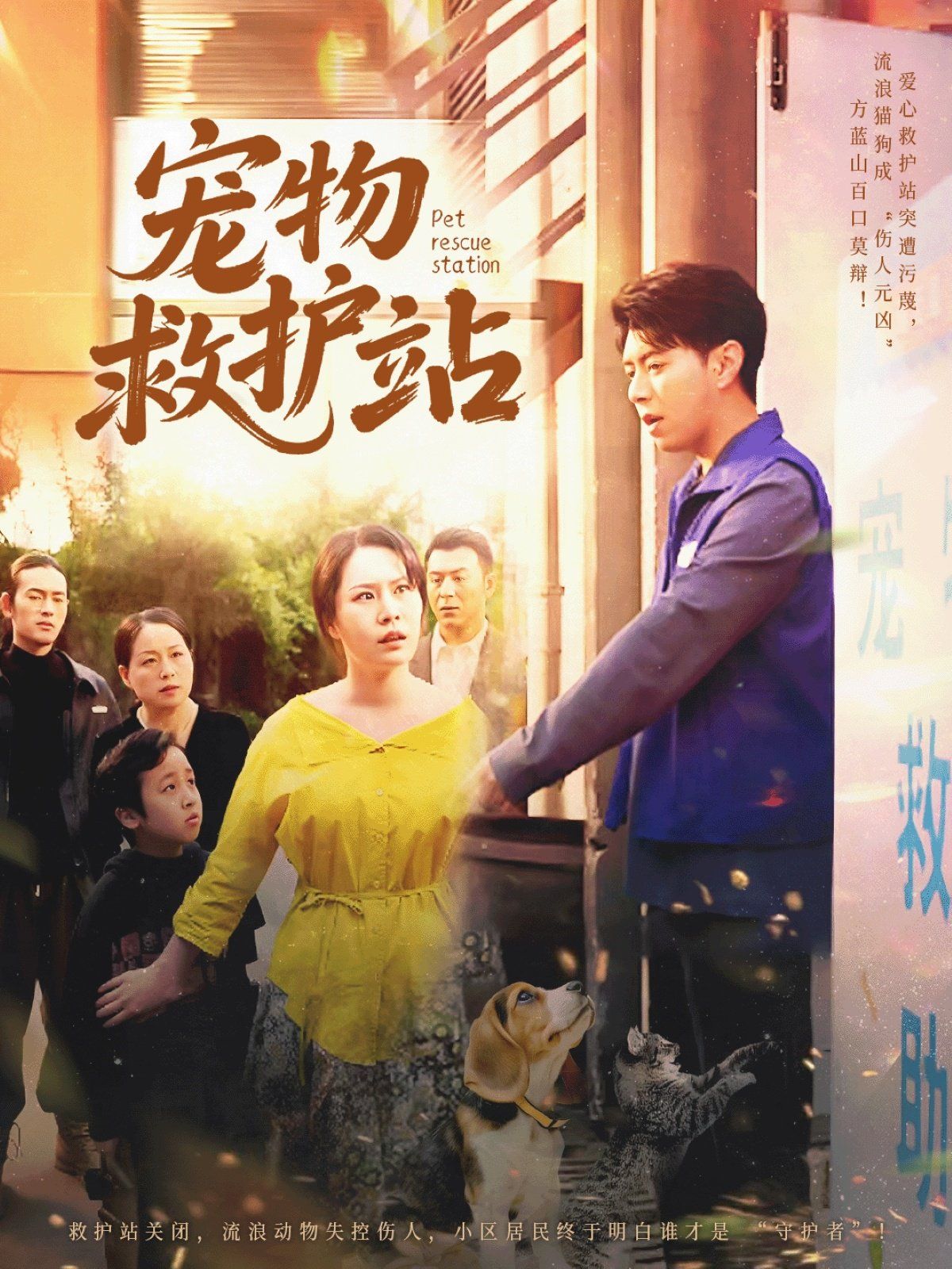 宠物救护站