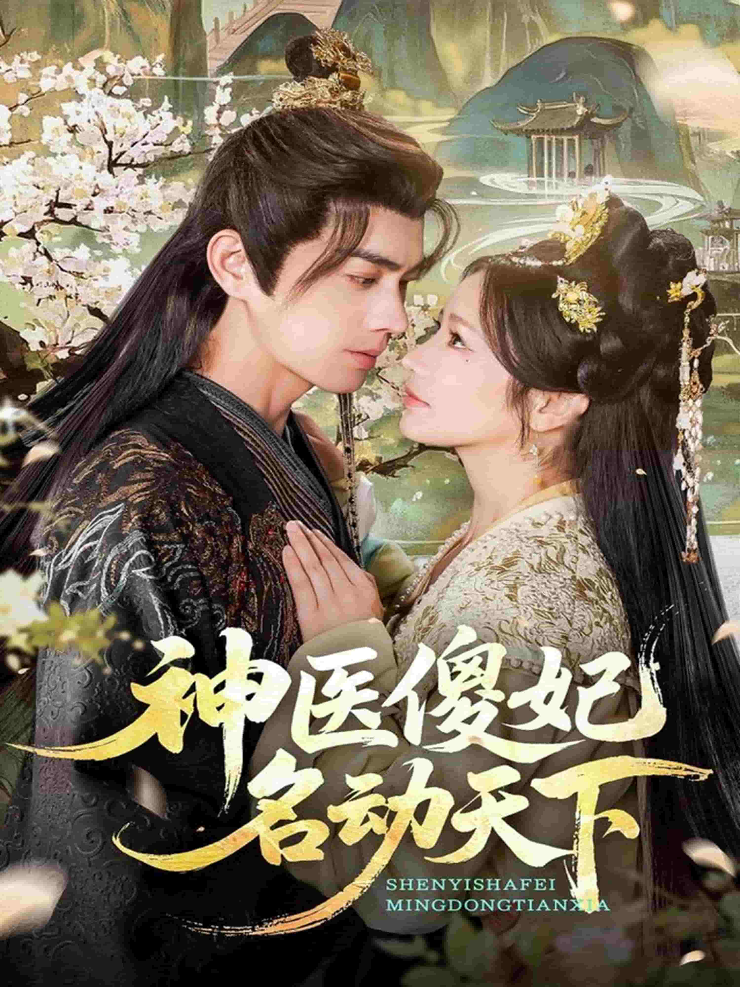 神医傻妃名动天下