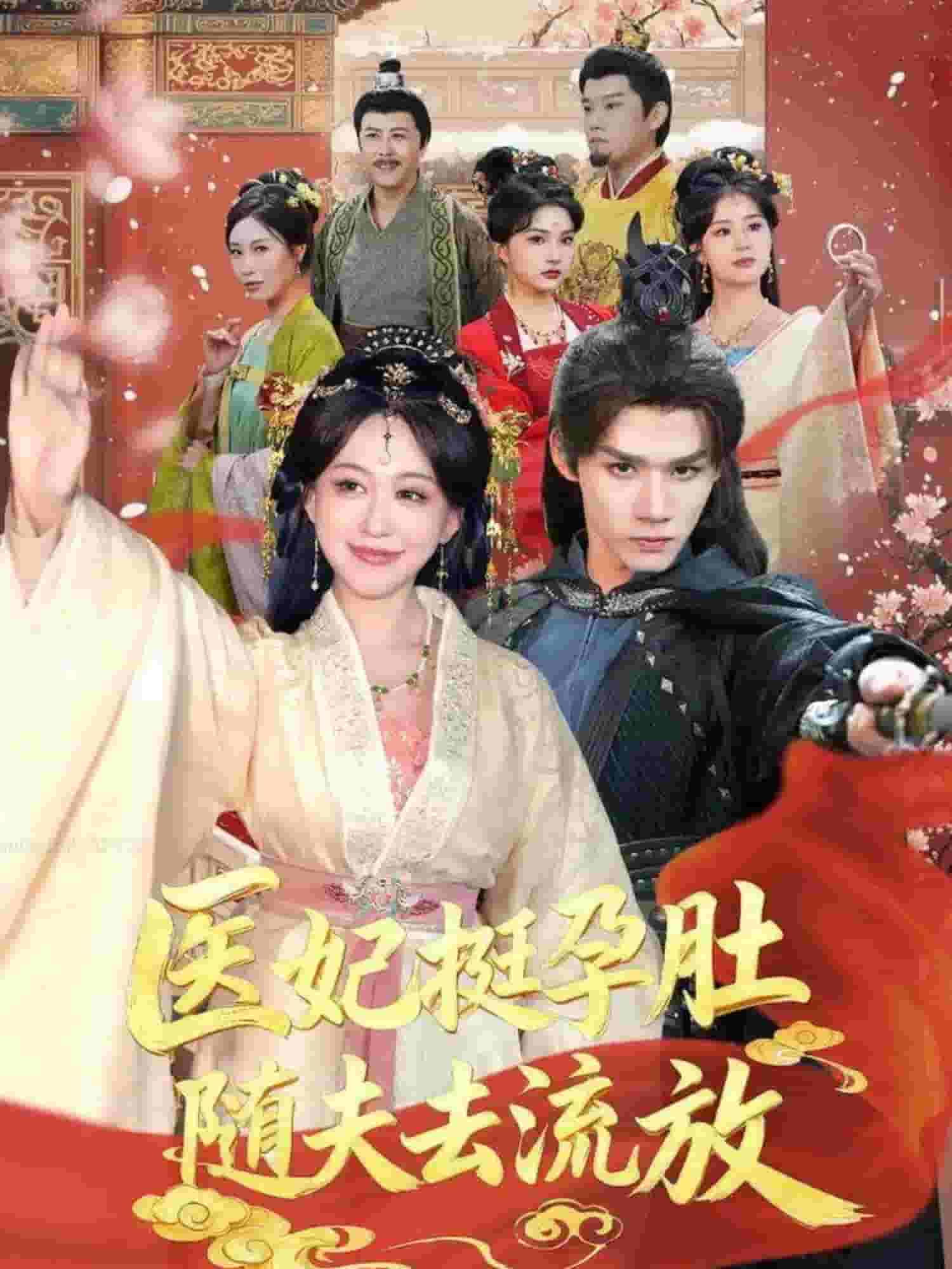 医妃挺孕肚随夫去流放